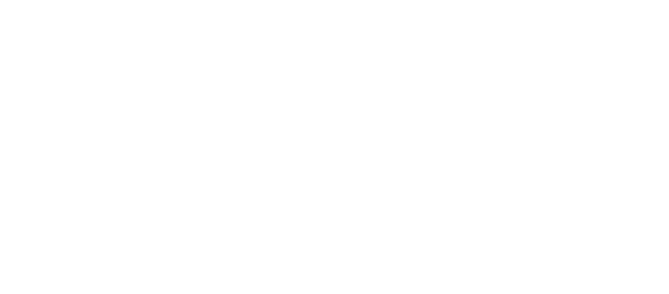 Logo IRVIN